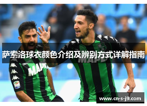 萨索洛球衣颜色介绍及辨别方式详解指南