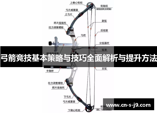 弓箭竞技基本策略与技巧全面解析与提升方法 弓箭竞技基本策略与技巧全面解析与提升方法