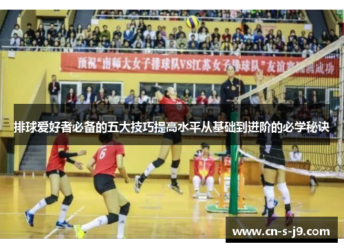 排球爱好者必备的五大技巧提高水平从基础到进阶的必学秘诀