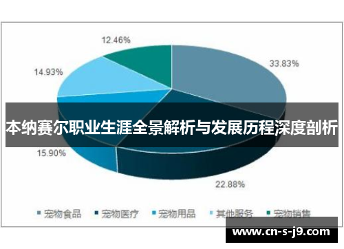 本纳赛尔职业生涯全景解析与发展历程深度剖析 本纳赛尔职业生涯全景解析与发展历程深度剖析
