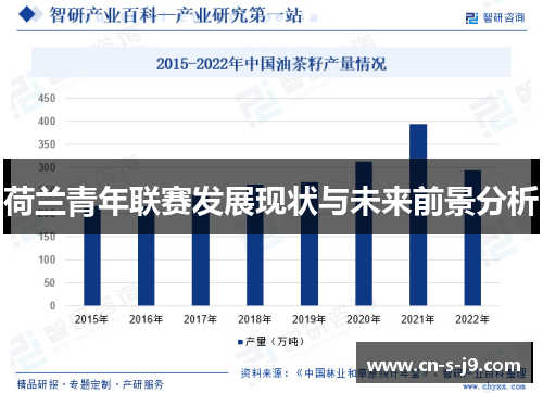 荷兰青年联赛发展现状与未来前景分析