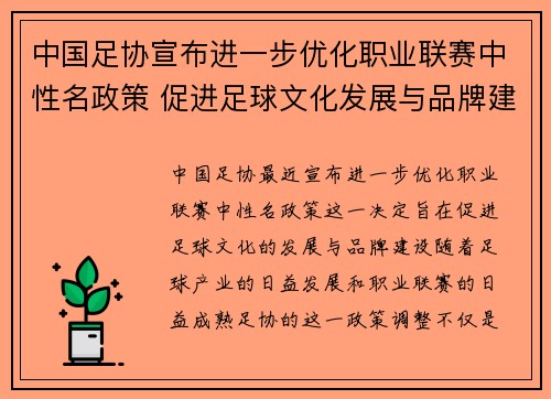 中国足协宣布进一步优化职业联赛中性名政策 促进足球文化发展与品牌建设